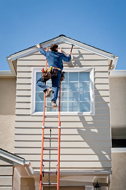 Best Vinyl Siding Installation  in Lake Andes, SD